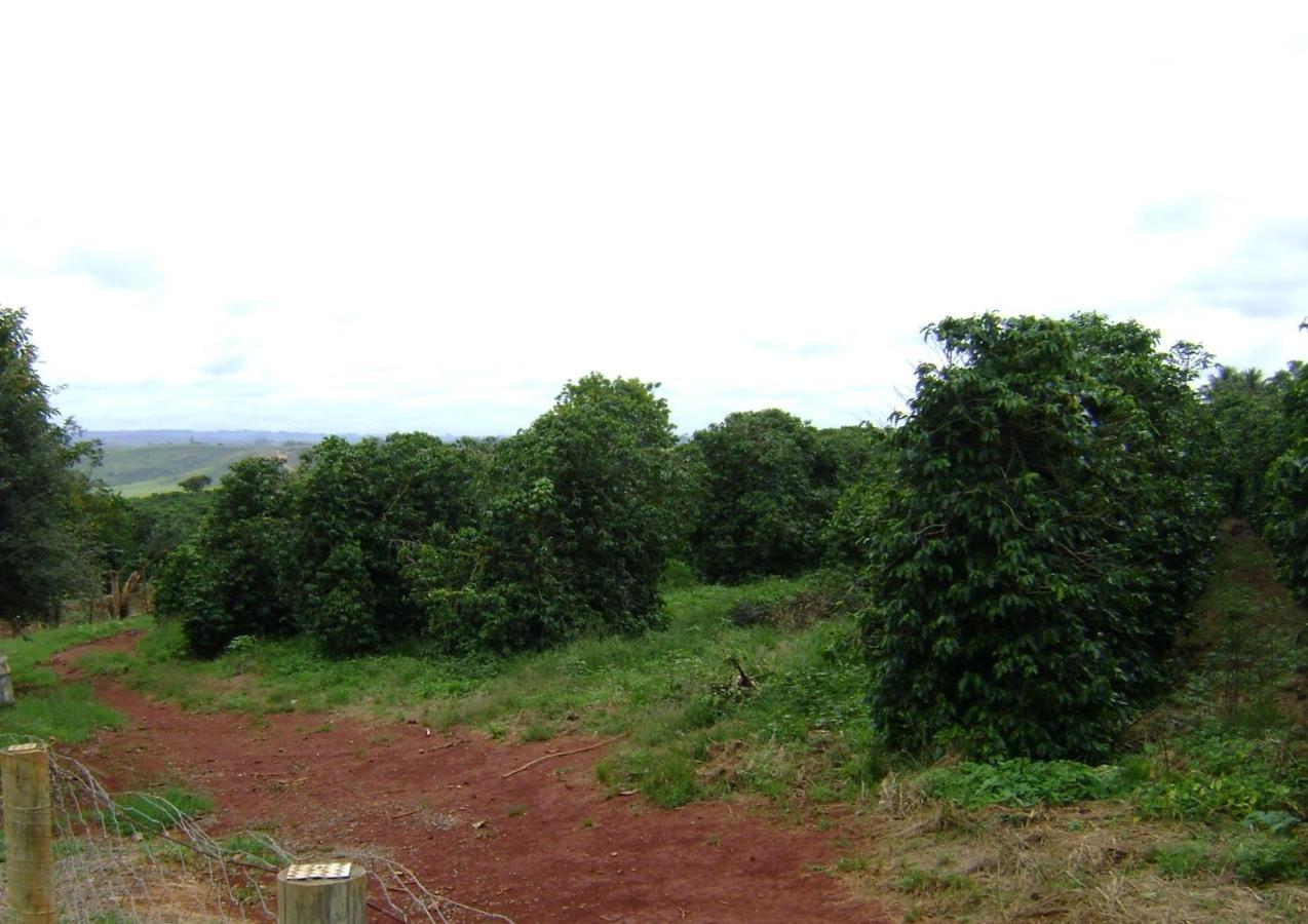 Sitio Sao Benedito São Roque de Minas Eksteriør bilde